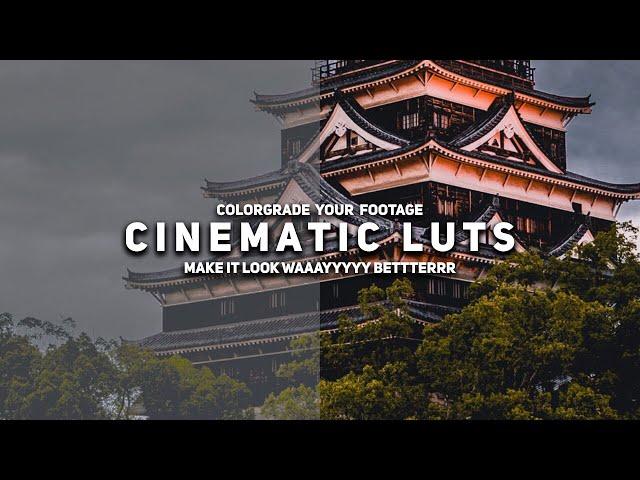 4 CINEMATIC LUTS || Premiere Pro, Final Cut Pro, After Effects ETC.