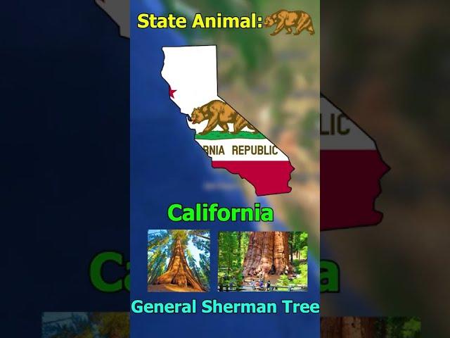 Fun Fact About Every State in USA