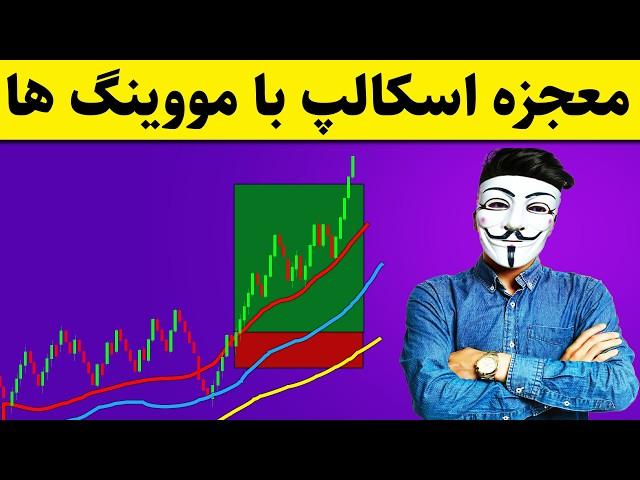 ‫ راز بزرگ اسکالپ ۵ دقیقه‌ای که کسی بهت نگفته! 