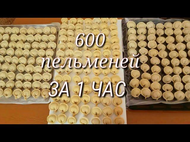 600 ПЕЛЬМЕНЕЙ ЗА 1 ЧАС! ЛЕГКО И ПРОСТО!