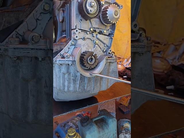 sincronización de motor de Renault Duster