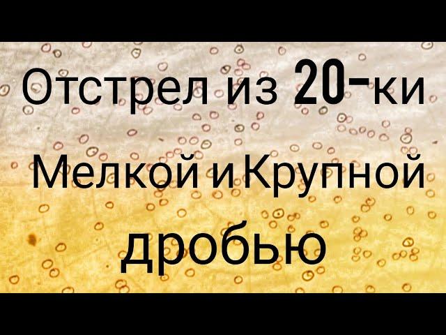 Отстрел из 20-ки Мелкой и Крупной дробью/Хороший результат 20-ки