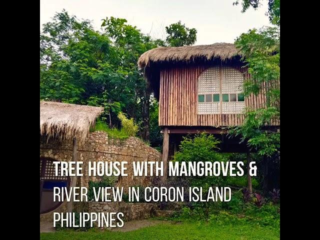 Coron island Philippines tree houses Mb travel