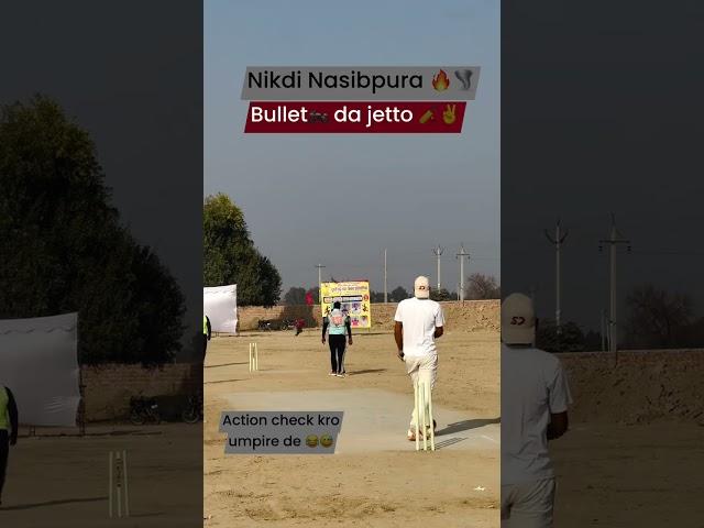 #nikdi #nasibpura #cricket #sangrurlive24