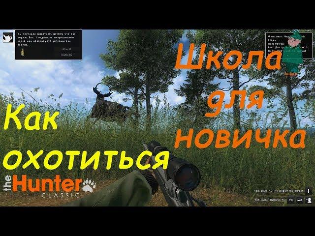 theHunter Classic. Гайд-охота для новичков.