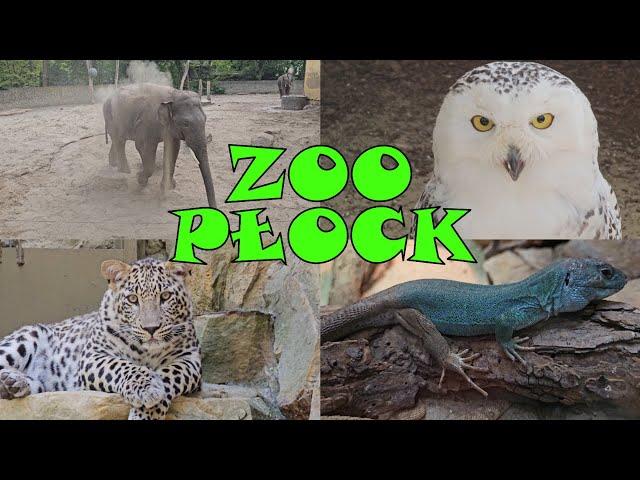 ZOO Płock