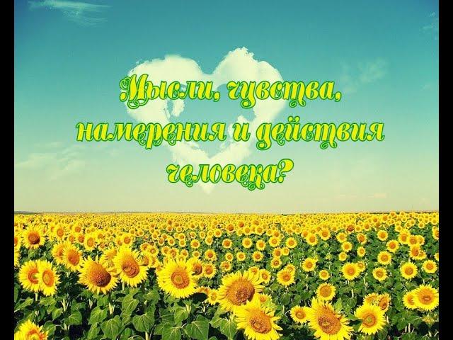 Расклад Таро. Мысли, чувства, намерения и действия человека?