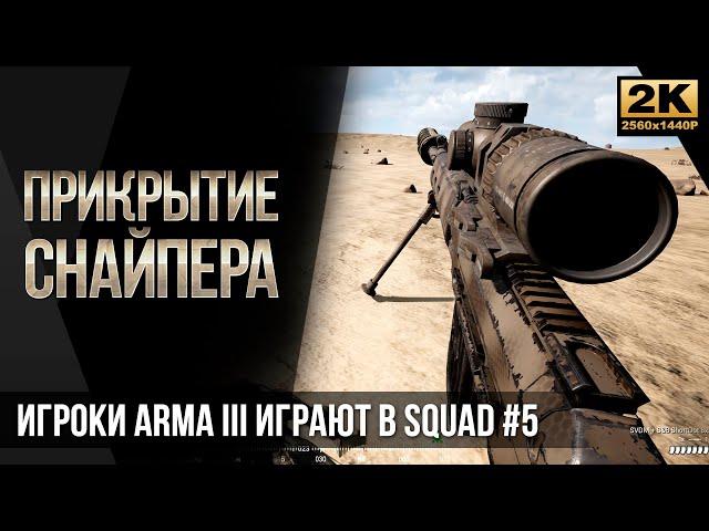 Прикрытие снайпера • Игроки ArmA 3 играют в SQUAD #5 [2K]