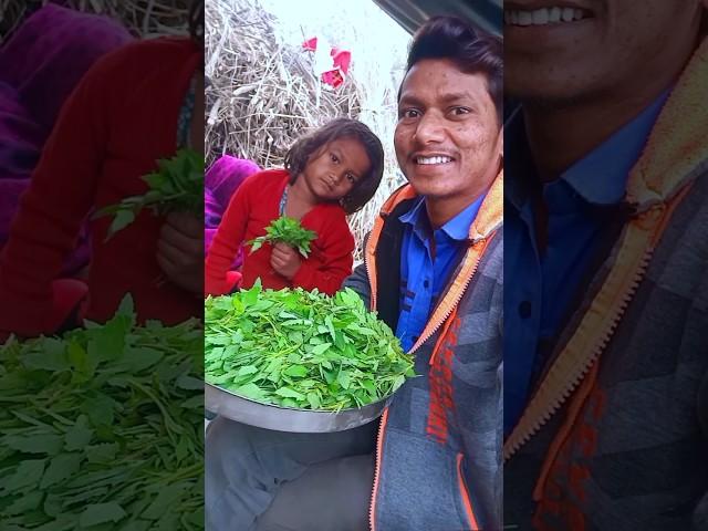 आज बनाए बथुआ का साग  / couple vlog #villagelife