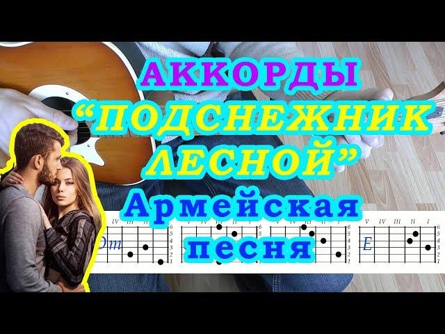 Шли по лесу парень с девчонкой Подснежник лесной Аккорды Армейская песня Разбор на гитаре Бой Текст