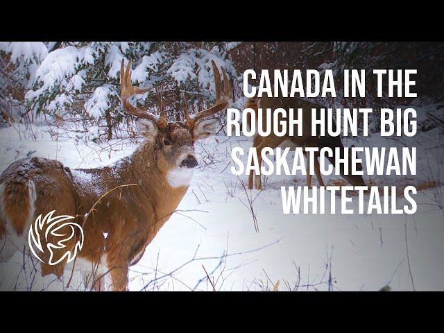 Canada in the Rough hunt for Big Saskatchewan Whitetails with Big Spruce Outfitting