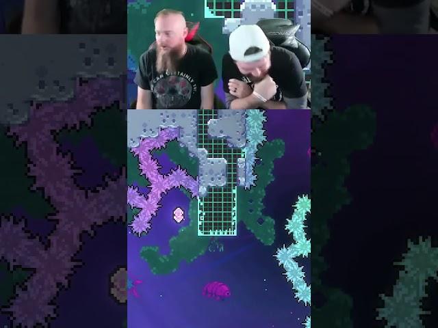 All the noises! Follow us on Twitch DandD_Bros #twitch #gaming #funny #brothers #celeste