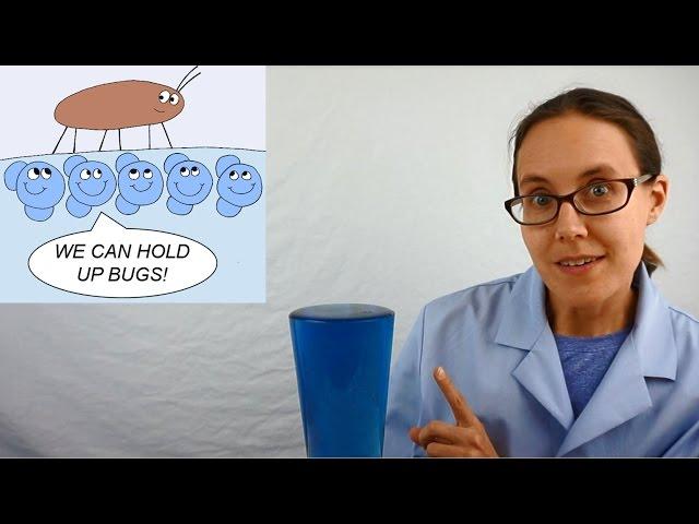 Science Mom's Guide to Water, Part 2 - Surface Tension