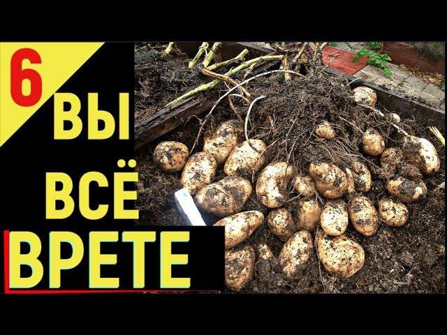 ВЫРАЩИВАНИЕ КАРТОФЕЛЯ от А до Я Ответы зрителям часть 6