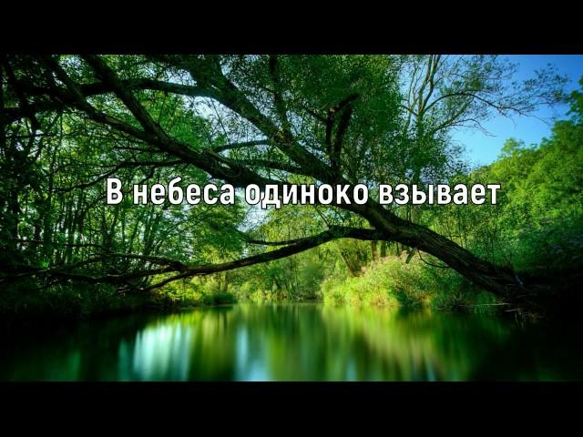 Слишком много душевных обид/Елена Ваймер