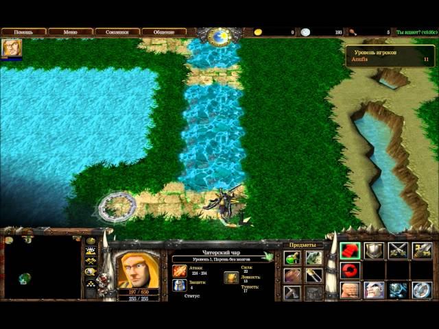 Warcraft 3 Ты идиот? - 11 уровень