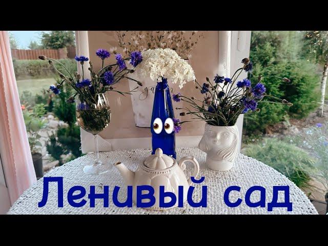 Лёгкий сад. Ленивый сад. Мало уходный сад, это мой сад. #малоуходныйсад