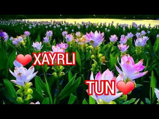 ХАЙРЛИ ТУН/XAYRLI TUN