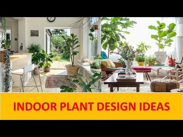 TOP 100 INDOOR PLANT DECORATION IDEAS | BEST HOUSE PLANT DESIGN IDEAS 2024