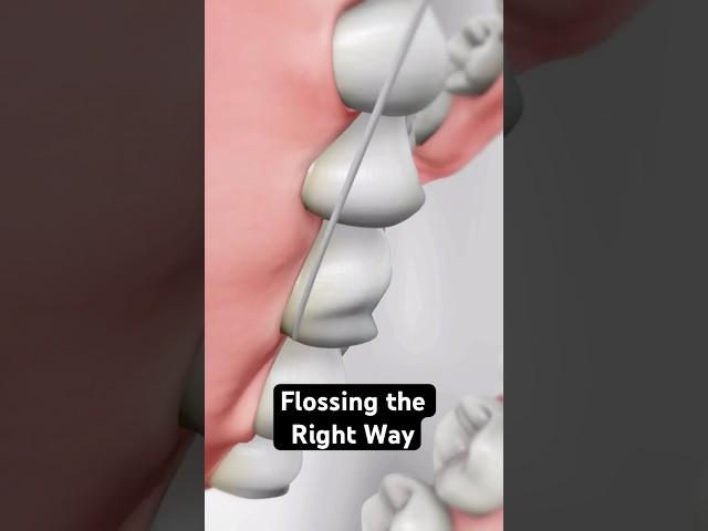 Flossing the right way (3D Animation)