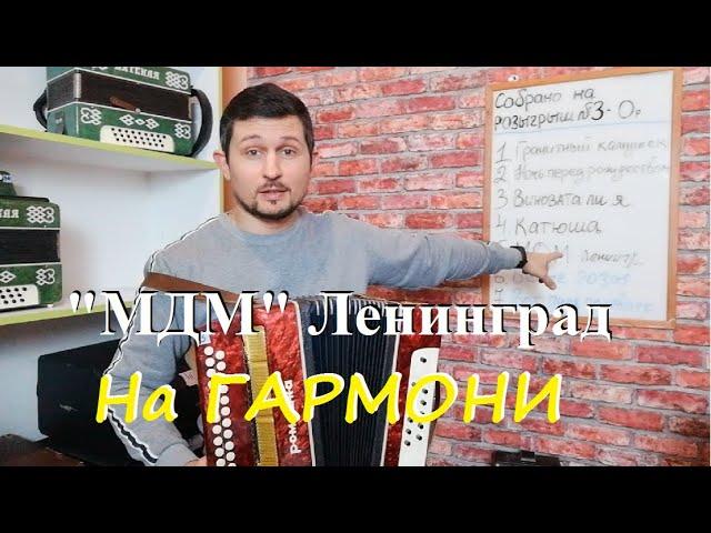 МДМ Ленинград на гармони