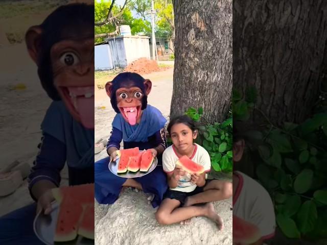 Monkey uncle  came to eat dawat  trending song shorts