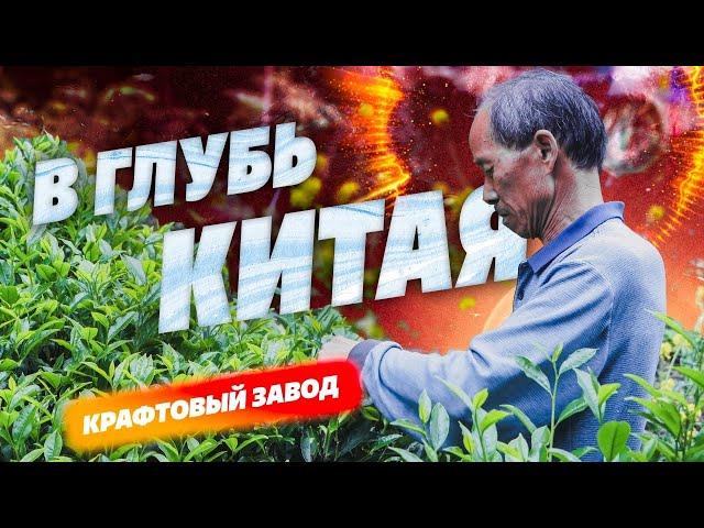 В глубь Китая! Древняя деревня с Тулоу, крафтовое чайное производство, древний чайный сад.