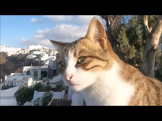 Santorini Greece - The many shades of autumn