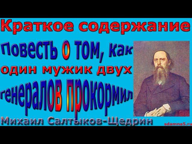 Краткое содержание Повесть о том, как один мужик двух генералов прокормил, Салтыков Щедрин