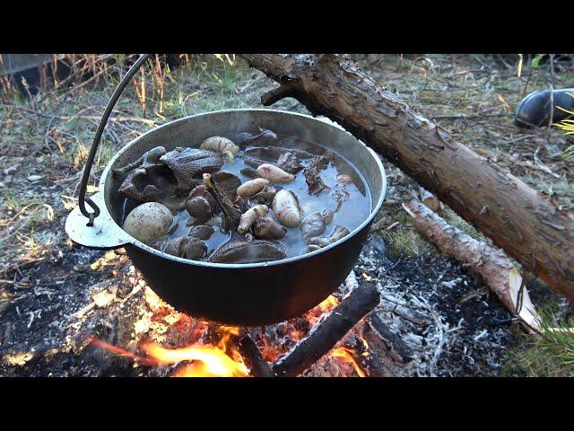 Охота на уток весной. Собрались с охотниками. Привал на берегу, готовим еду.