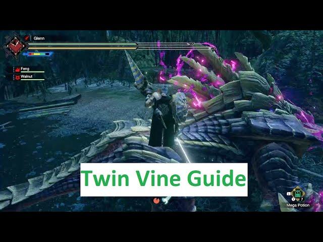 Guide to Twin Vine