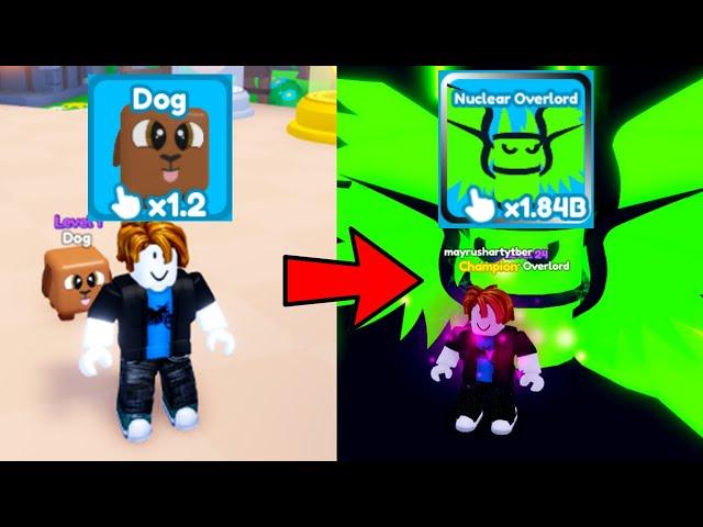 I Hatched The Best Secret Pet And Became A Master In Rebirth Champion X Roblox!