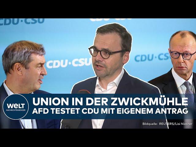 BRANDENBURG: Migrationsstreit eskaliert! CDU verweigert AfD die Gefolgschaft