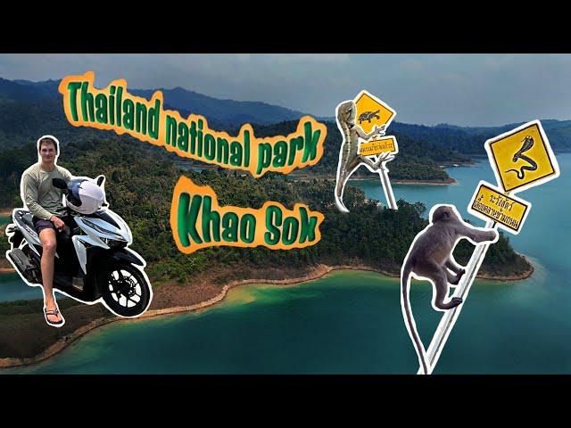 4K: Национальный парк Као Сок- озеро Чео лан. ( Thailand national park Khao Sok).