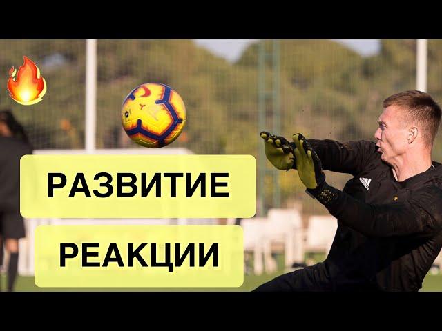 Развитие Реакции! Тренировка Вратарей. Goalkeeper Training.