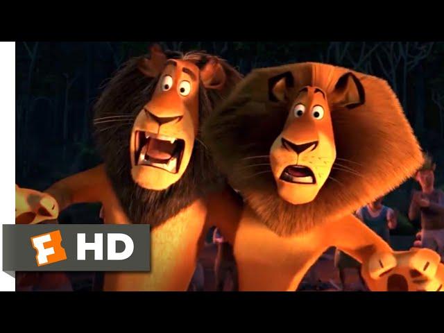 Madagascar: Escape 2 Africa (2008) - The Lion Dance Scene (9/10) | Movieclips