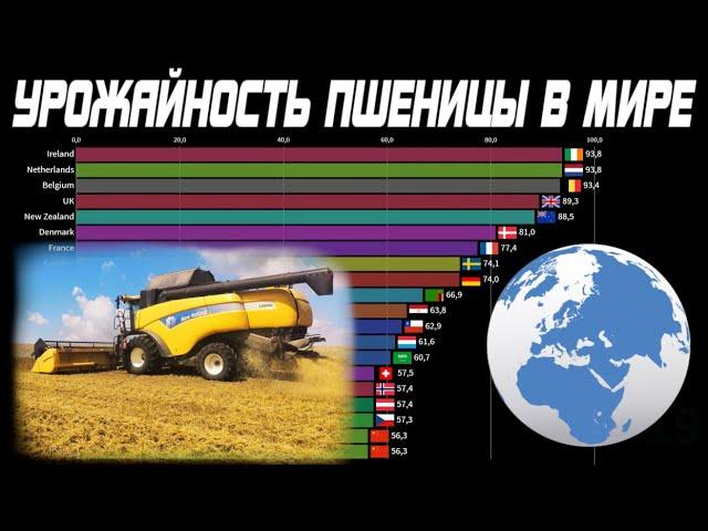 Урожайность пшеницы в странах мира | Страны-чемпионы по выращиванию пшеницы с 1 гектара