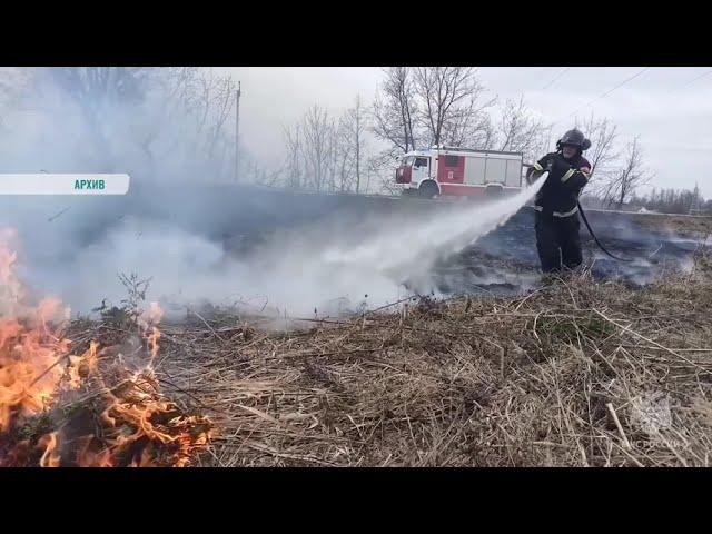 Телеканал Регион 67 - уже 8 палов травы зарегистрировано в Смоленской области