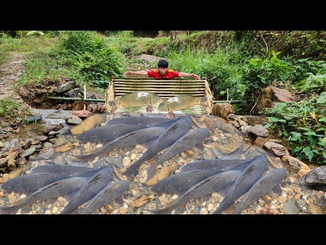 Full video of 36 days of making fish traps. Lucky boy Lam caught a lot of big fish to sell.