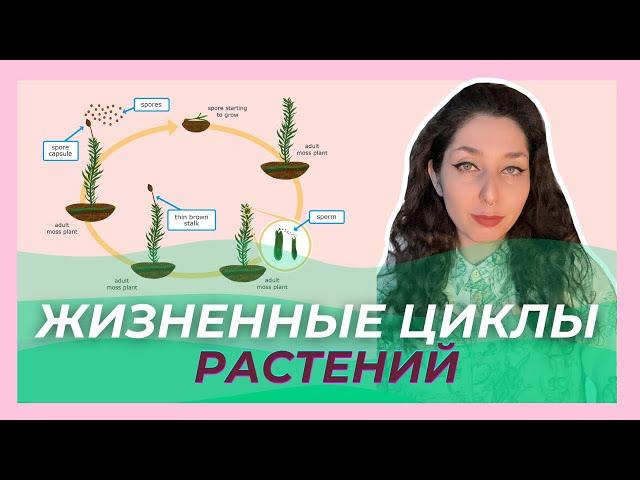 СМЕНА ЖИЗНЕННЫХ ЦИКЛОВ К ЦЭ/ЦТ/УСТНОМУ ЭКЗУ