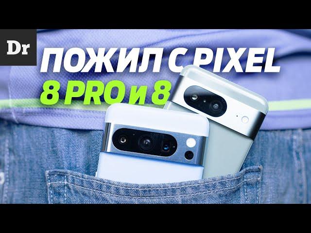 PIXEL 8 ИЛИ PIXEL 8 PRO: ЧТО БРАТЬ?
