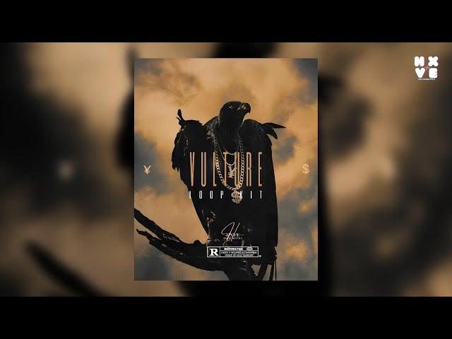 [ +20 FREE ] Sample Pack/Loop Kit "VULTURE" | Ambient, Don Toliver, Future, Travis Scott | 2024