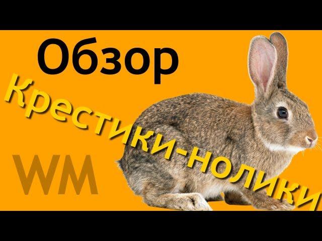 Обзор на игру "Крестики-нолики"