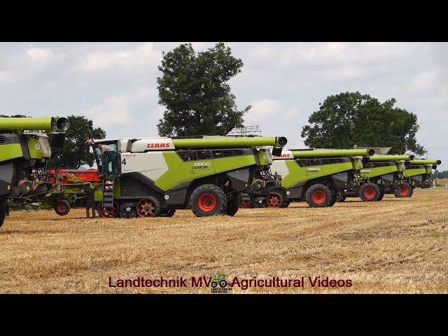 Claas - Fendt - MAN / Getreideernte - Grain Harvest  2024