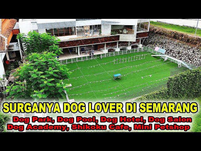 Surganya Dog Lover Di Semarang - Kichi Dog Hub