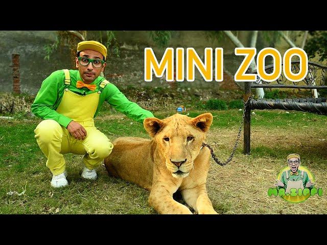 Mini Zoo - Mr. Zippi S1E06 | Fun Learning for Kids