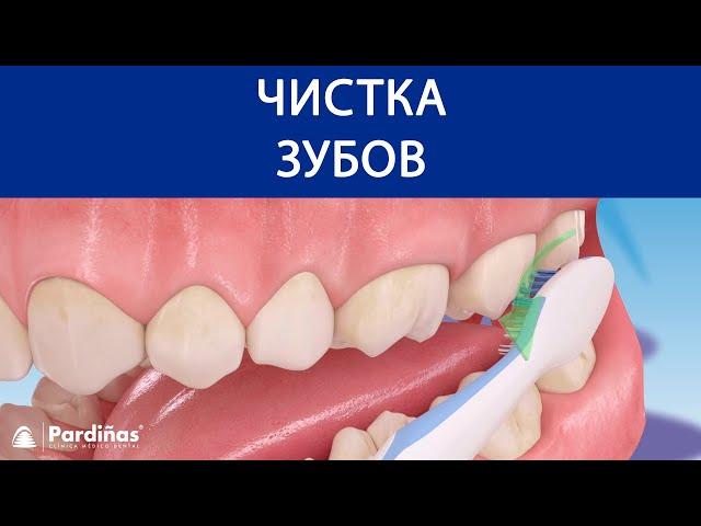 Чистка зубов ©