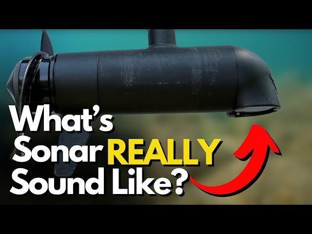 What Does Sonar Sound Like Underwater? Plus Other Bass Boat Sounds!