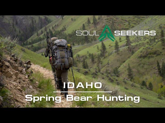 Spring Bear Hunting in Idaho