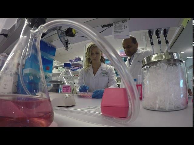 Inside the Abigail Wexner Research Institute at Nationwide Children's Hospital